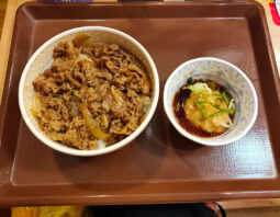 [すき家]おろしポン酢牛丼[並](480円)