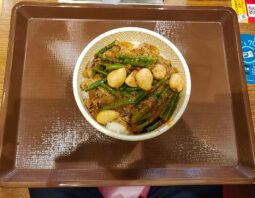 [すき家]Wニンニク牛丼[並](560円)