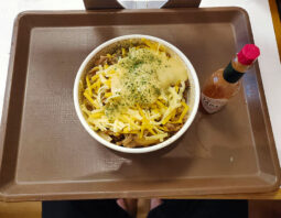 [すき家]とろ〜り3種のチーズ牛丼[並](500円)