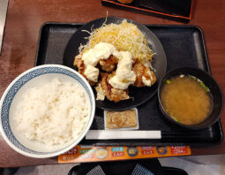 [吉野家]タルタル南蛮から揚げ定食(767円)