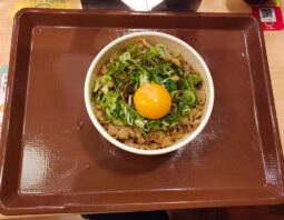 [すき家]ねぎ玉牛丼(480円)
